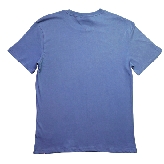 TRICOU TOMMY HILFIGER BARBATI (DM0DM10168 C9T)