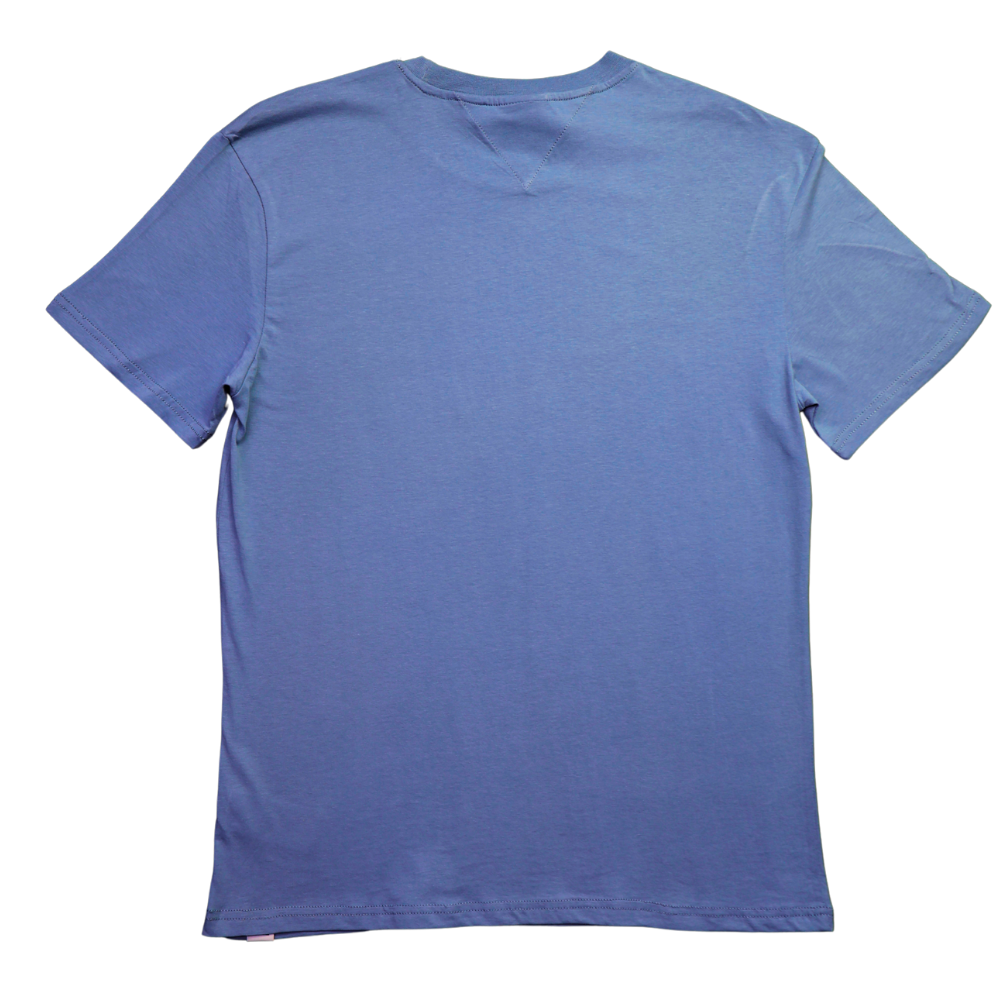 TRICOU TOMMY HILFIGER BARBATI (DM0DM10168 C9T)